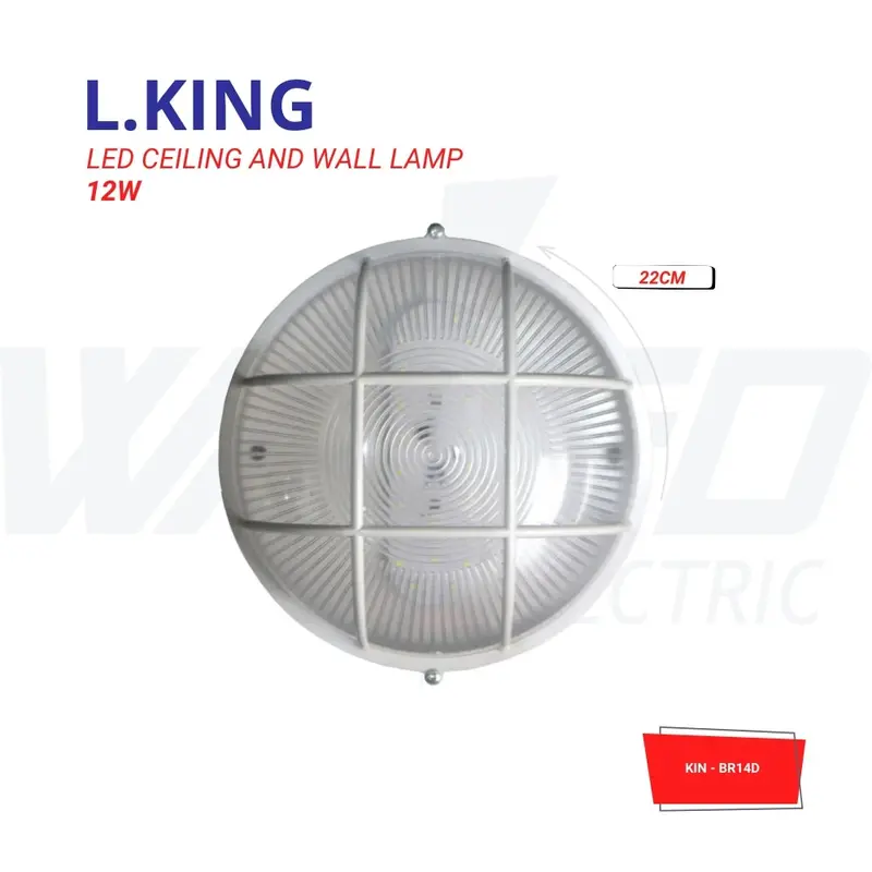 12W Round LED Ceiling & Wall Lamp – 22cm Diameter
