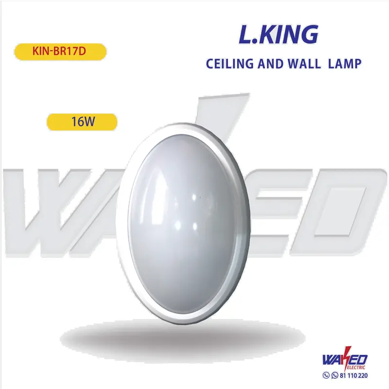 Adjustable LED Ceiling or Wall Light – Modern Fixture