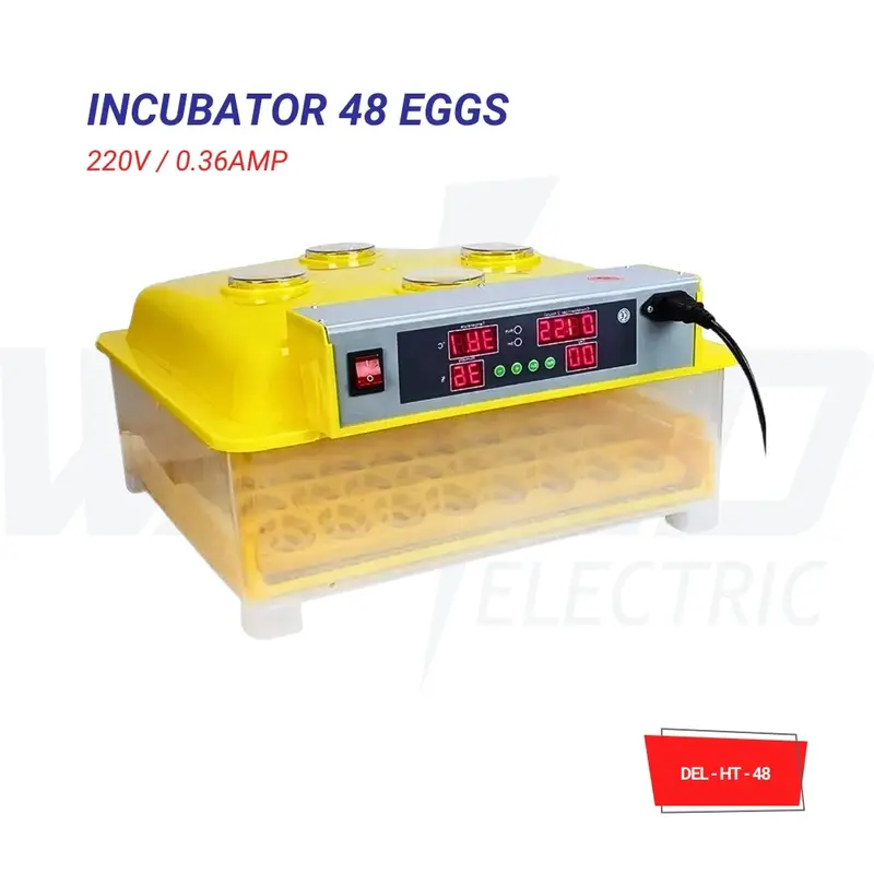 Compact Egg Incubator – 48-Egg Capacity with Digital Control