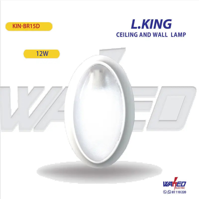 E27 Base Ceiling or Wall Lamp – Universal Fixture