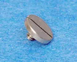Swivel Arm Mounting Screw