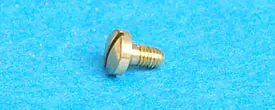 Universal Key Guard Mounting Screw – Stainless Steel