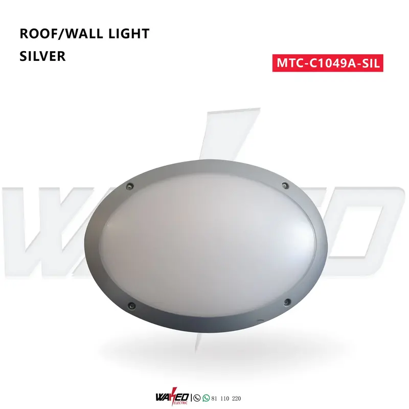Versatile Roof or Wall-Mounted Exterior Light